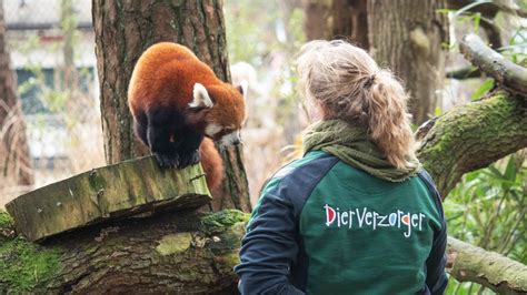 dierenverzorger opleiding